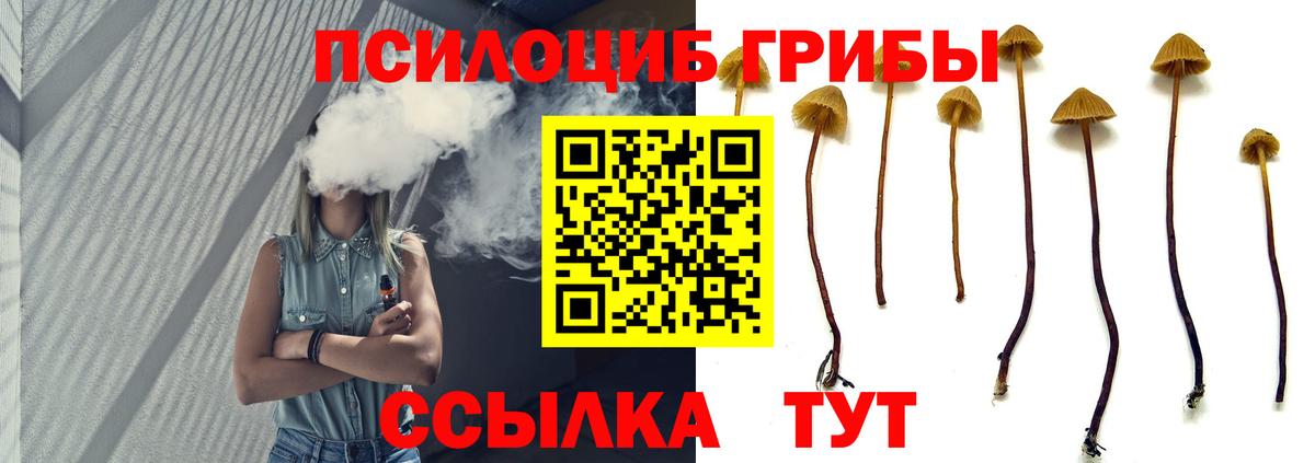 Орёл  Псилоцибиновые грибы Magic Shrooms  Вход с VPN 