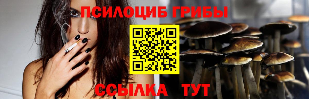 Псилоцибиновые грибы Psilocybine cubensis Орёл