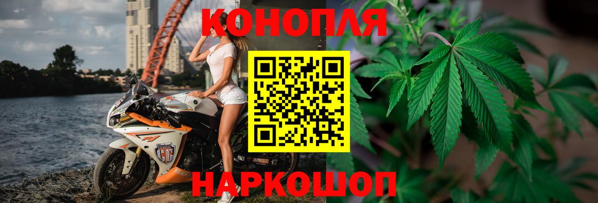 Бошки марихуана ГИДРОПОН  Марихуана MAZAR  Канабис White Widow  Орёл  Вход с VPN 